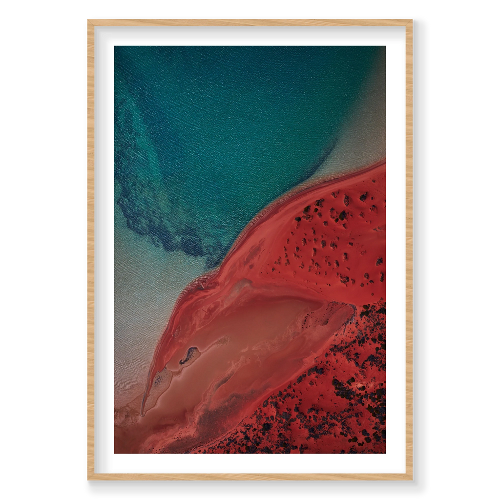 Eagle, Shark Bay, Vertical Print, natural Victorian Ash frame