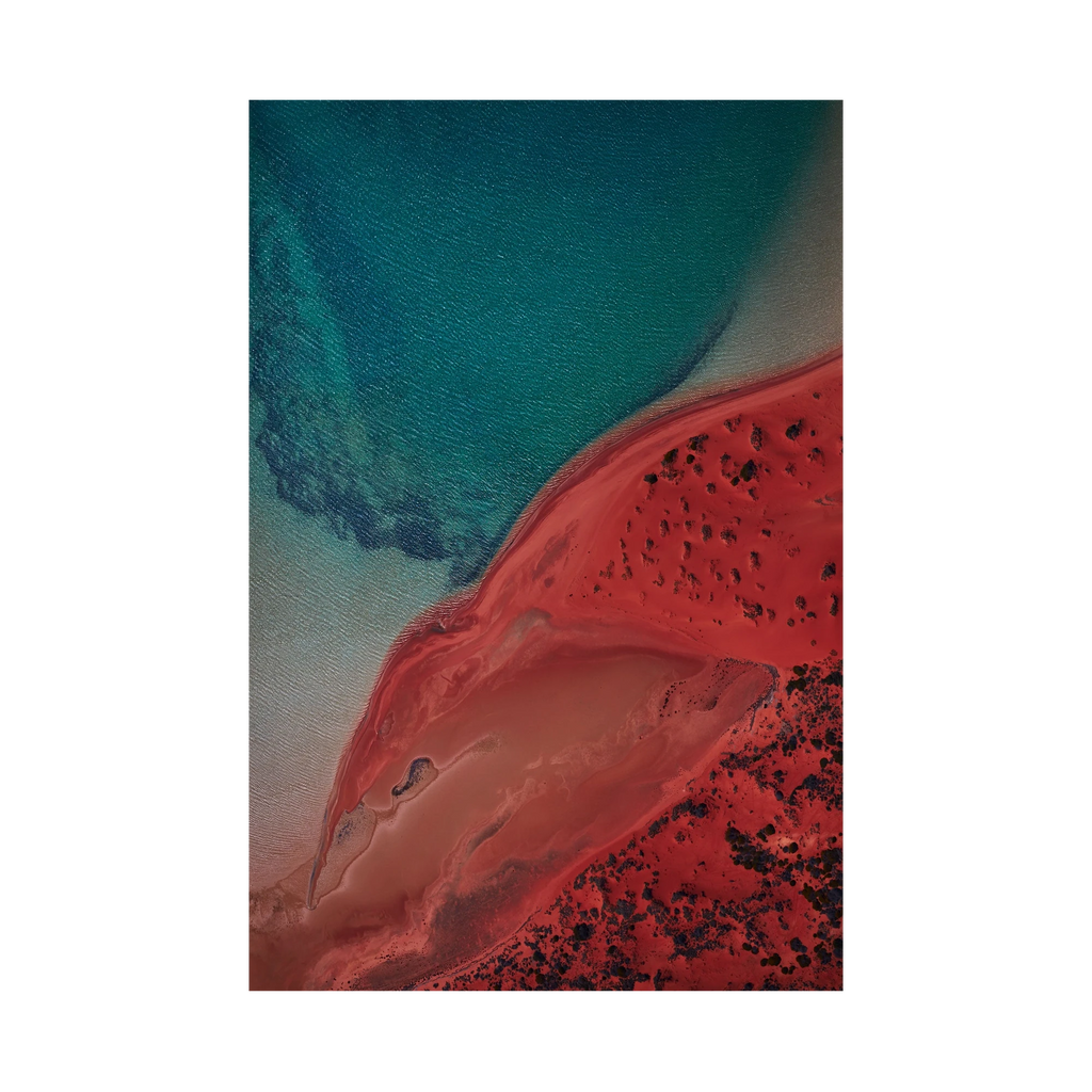 Eagle, Shark Bay, Vertical Print, print only