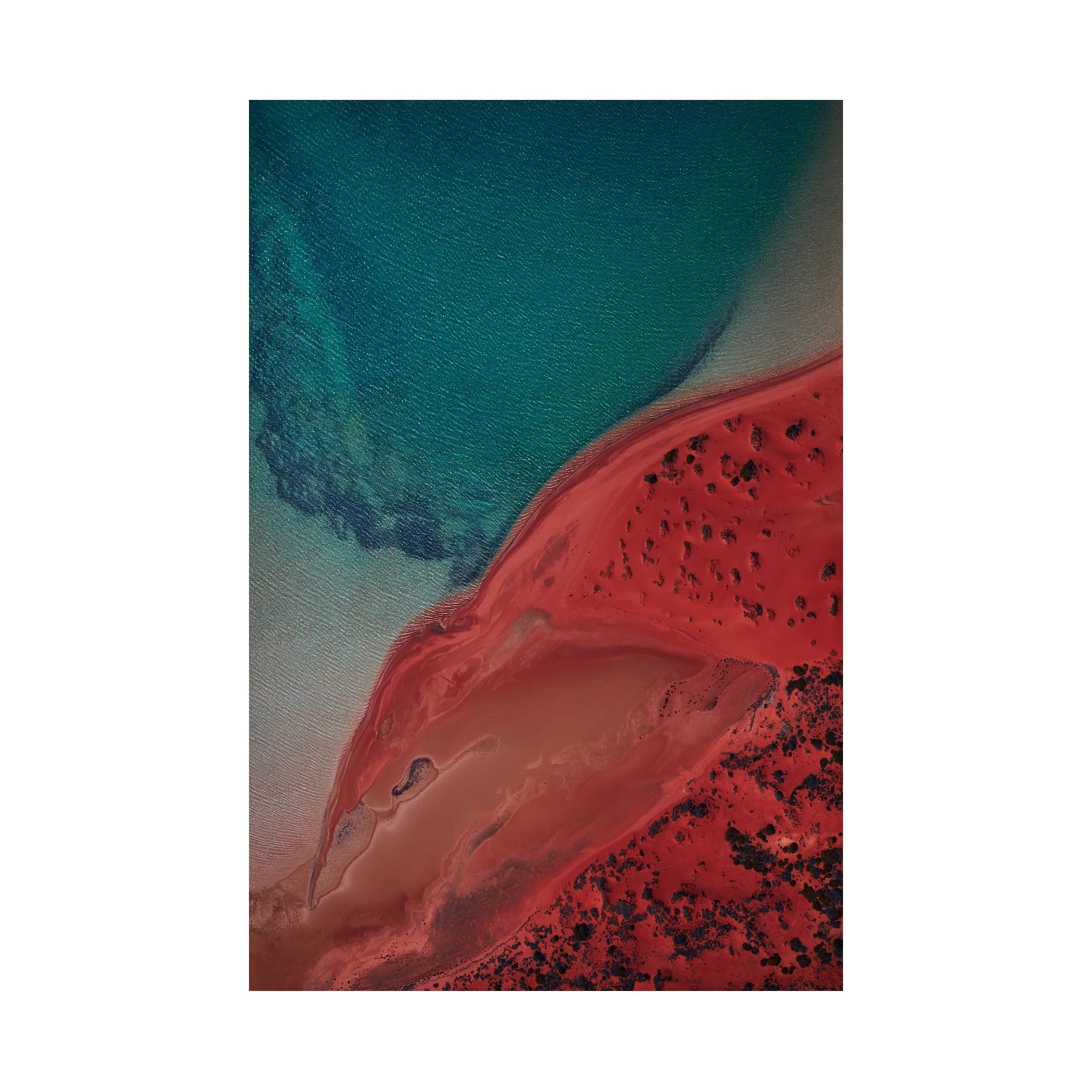 Eagle, Shark Bay, Vertical Print, print only