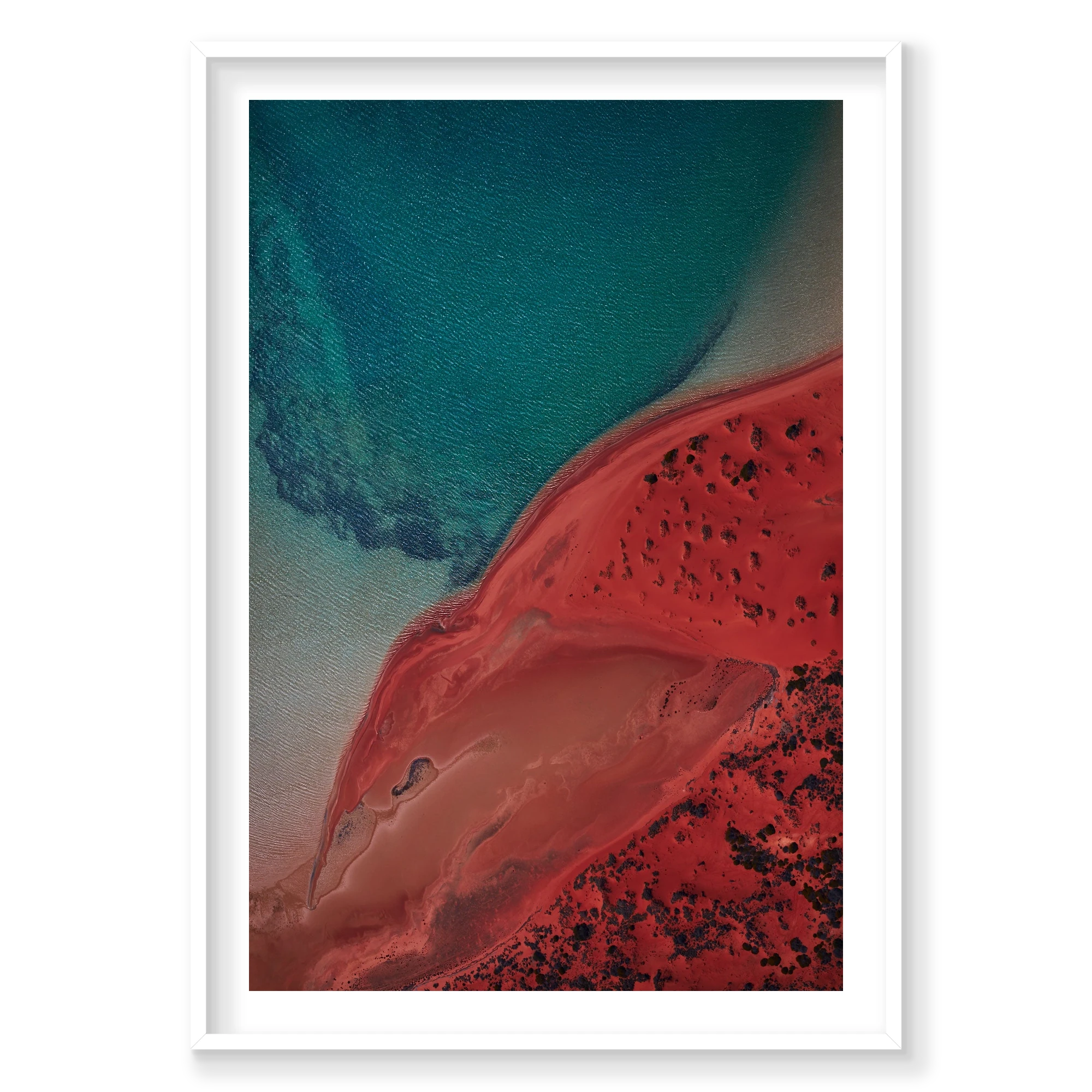 Eagle, Shark Bay, Vertical Print, white Victorian Ash frame