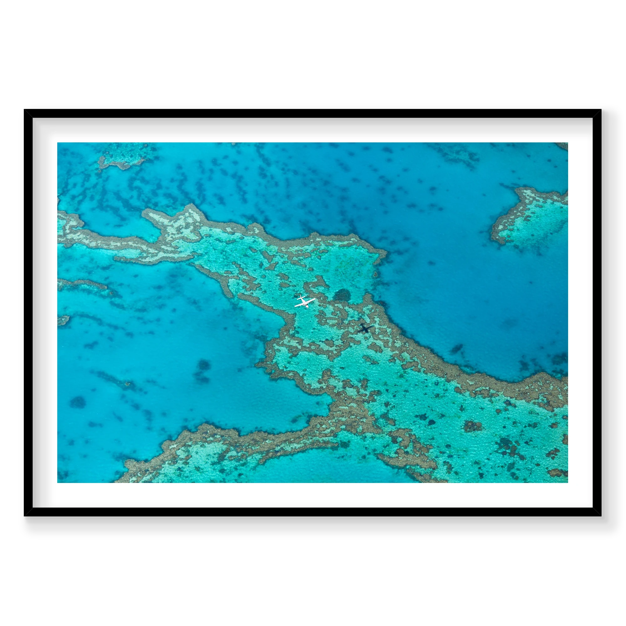 Escape, Great Barrier Reef, Horizontal Print, black Victorian Ash frame