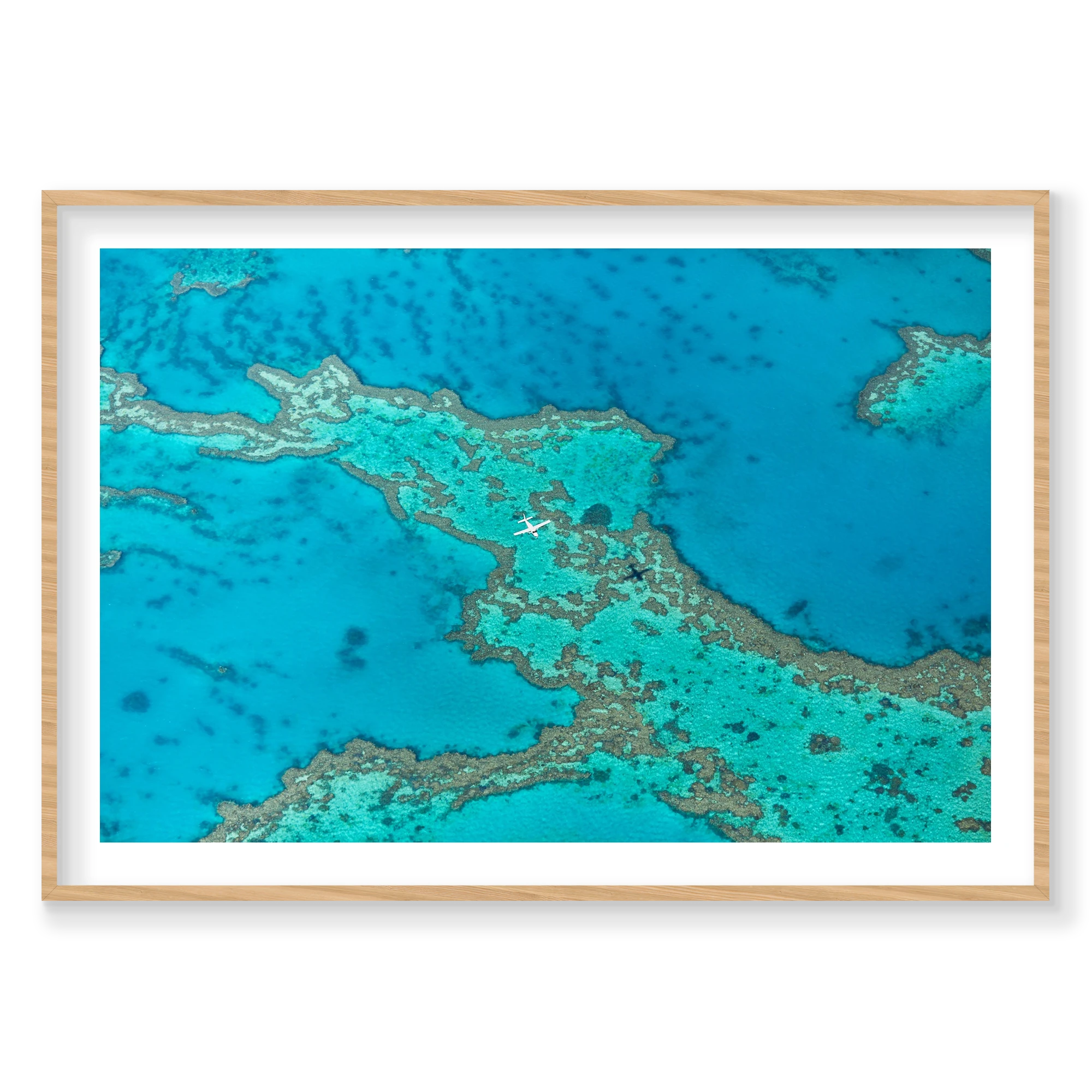 Escape, Great Barrier Reef, Horizontal Print, natural Victorian Ash frame