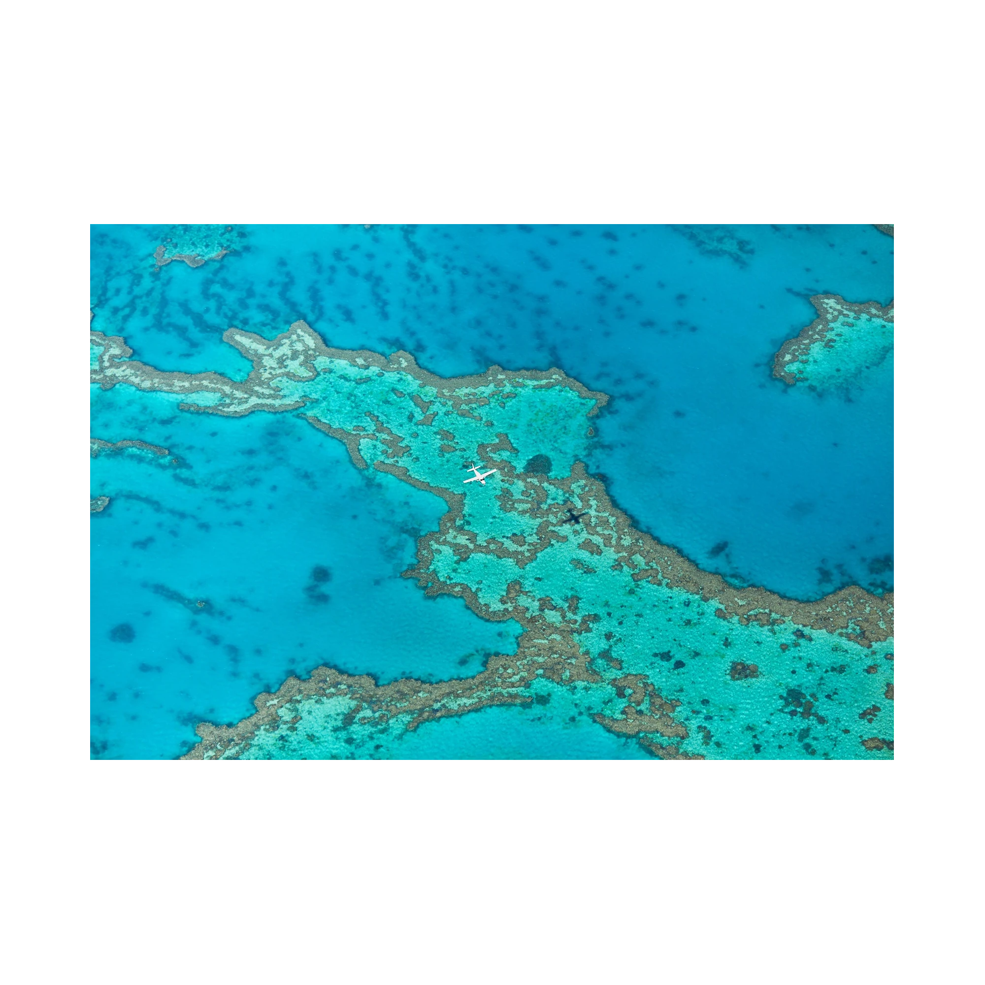 Escape, Great Barrier Reef, Horizontal Print, print only