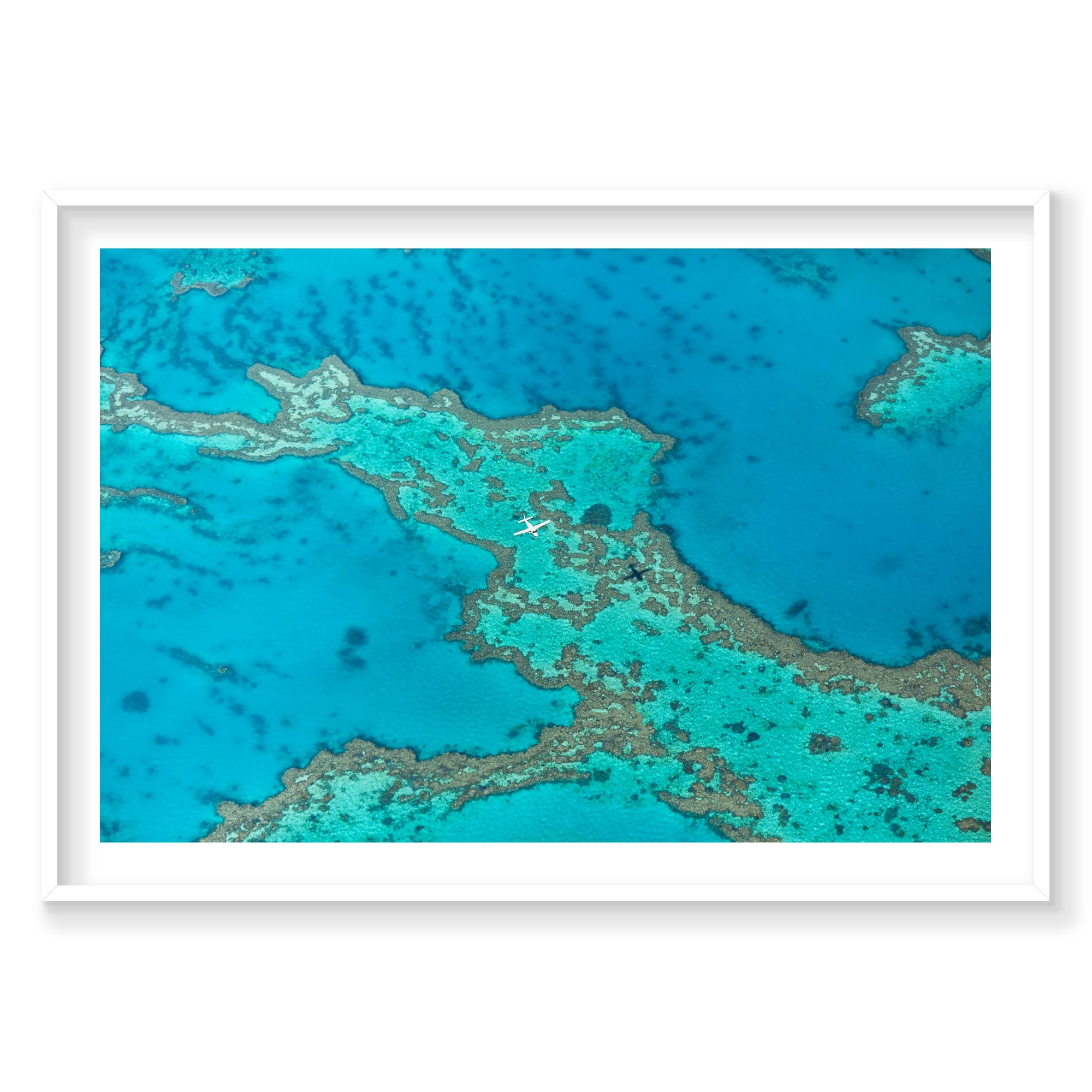 Escape, Great Barrier Reef, Horizontal Print, white Victorian Ash frame