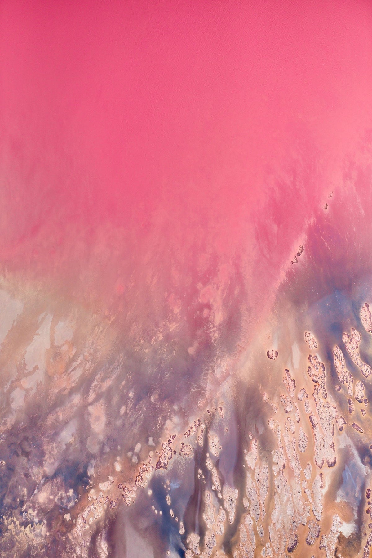 Fading, Hutt Lagoon, Vertical Print - source print