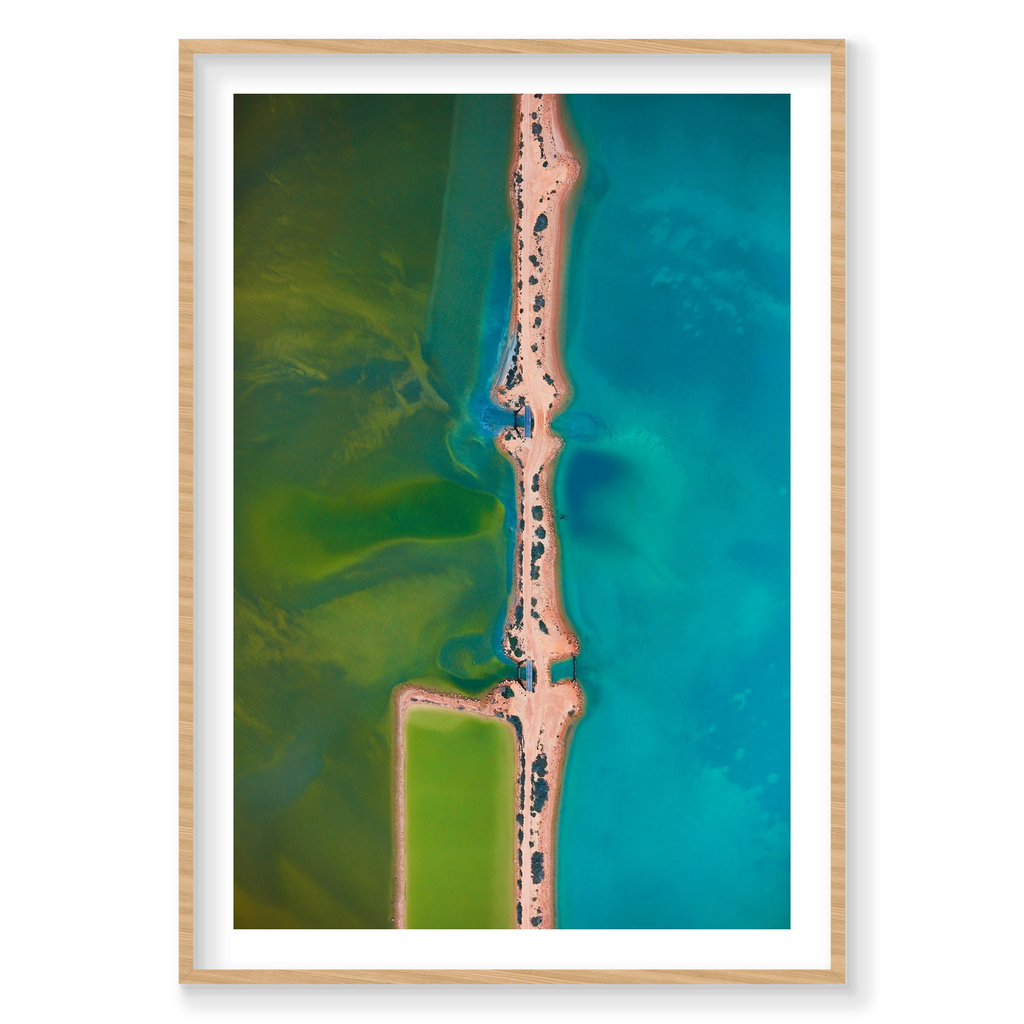 Femur, Carrarang, Vertical Print, natural Victorian Ash frame