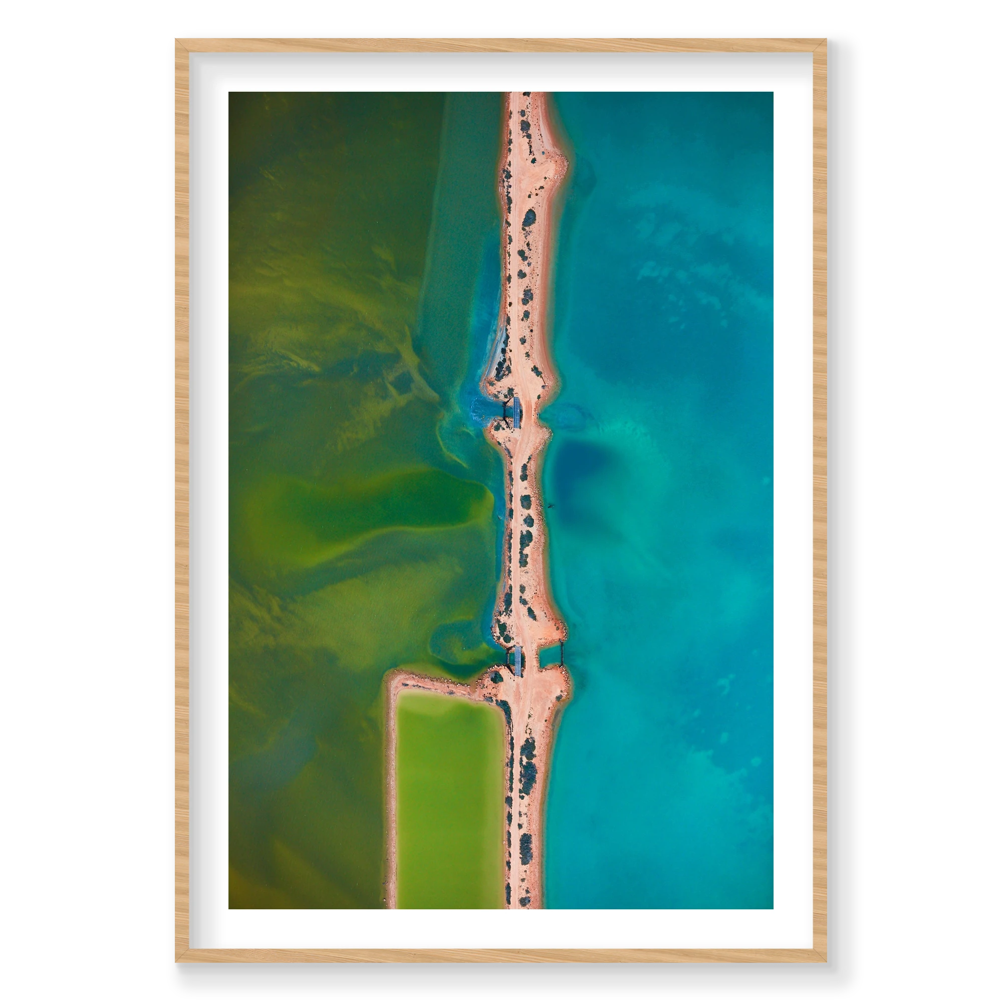 Femur, Carrarang, Vertical Print, natural Victorian Ash frame