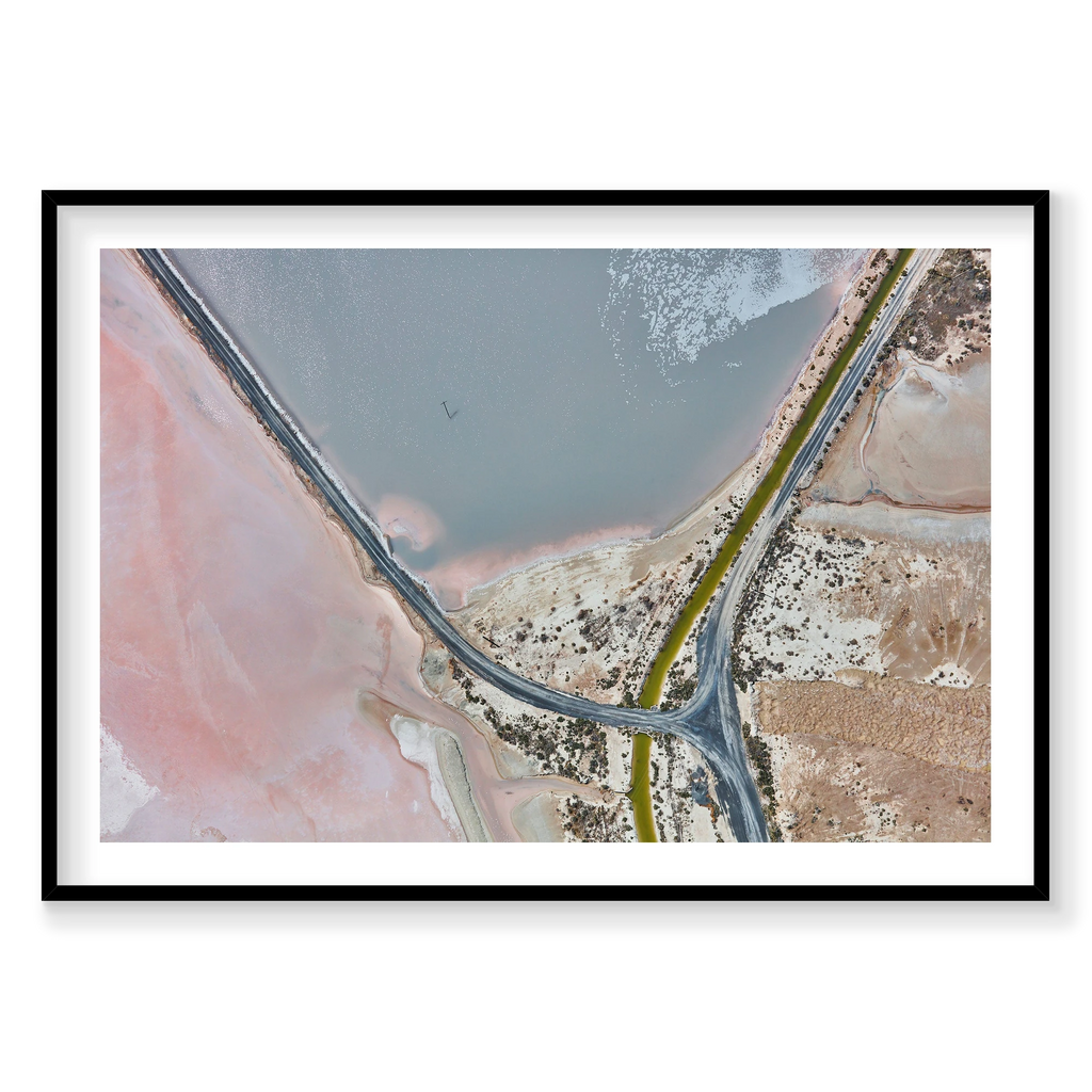 Flamingo, Great Salt Lake, Horizontal Print, black Victorian Ash frame