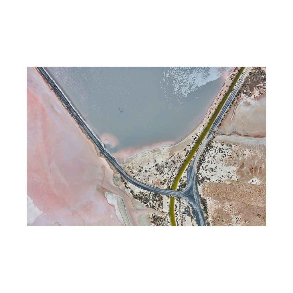 Flamingo, Great Salt Lake, Horizontal Print, print only