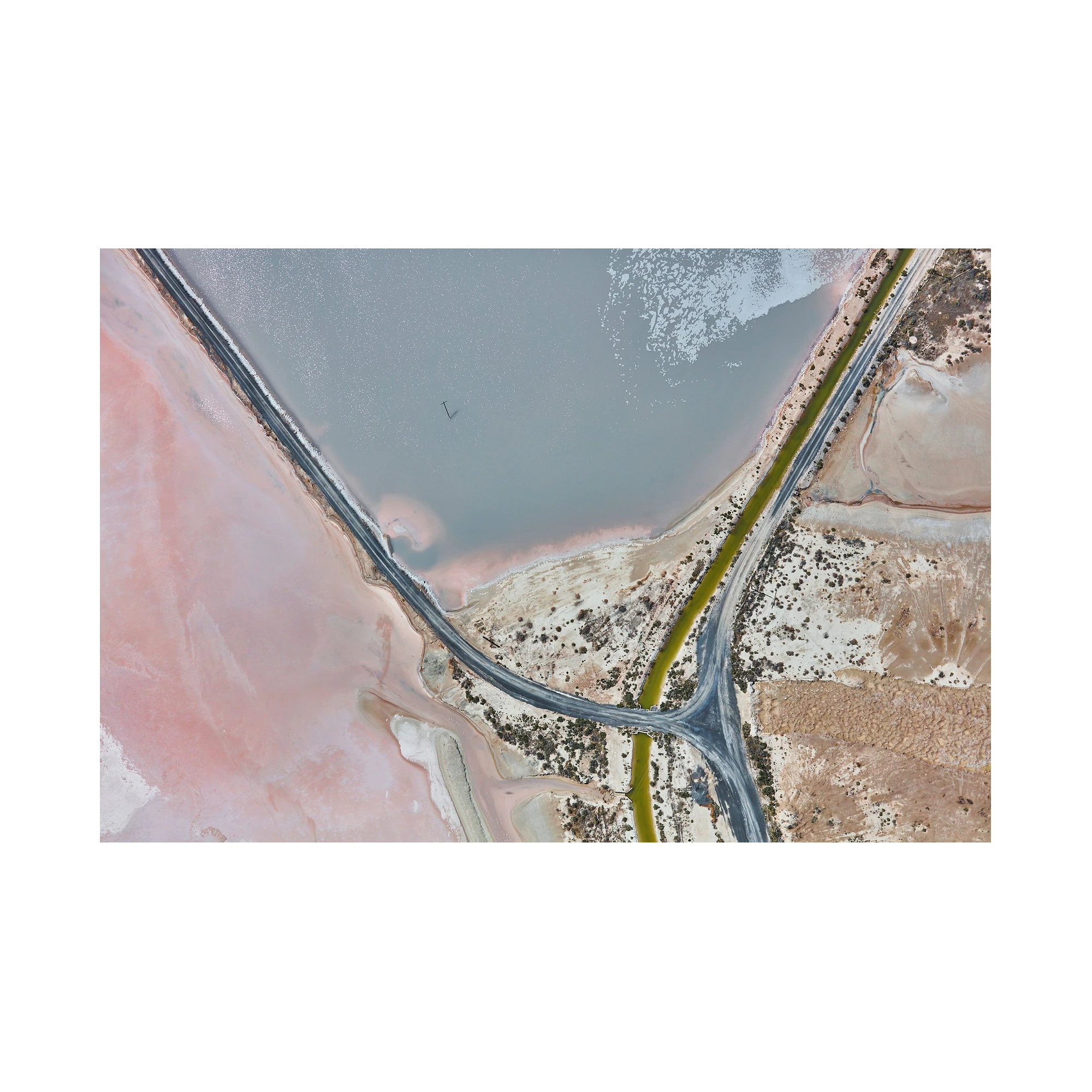 Flamingo, Great Salt Lake, Horizontal Print, print only