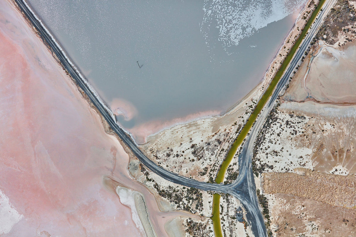 Flamingo, Great Salt Lake, Horizontal Print