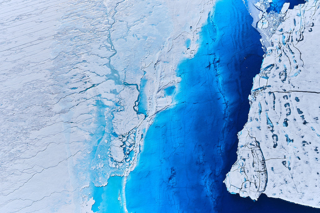 Frost, Greenland, Horizontal Print - source print