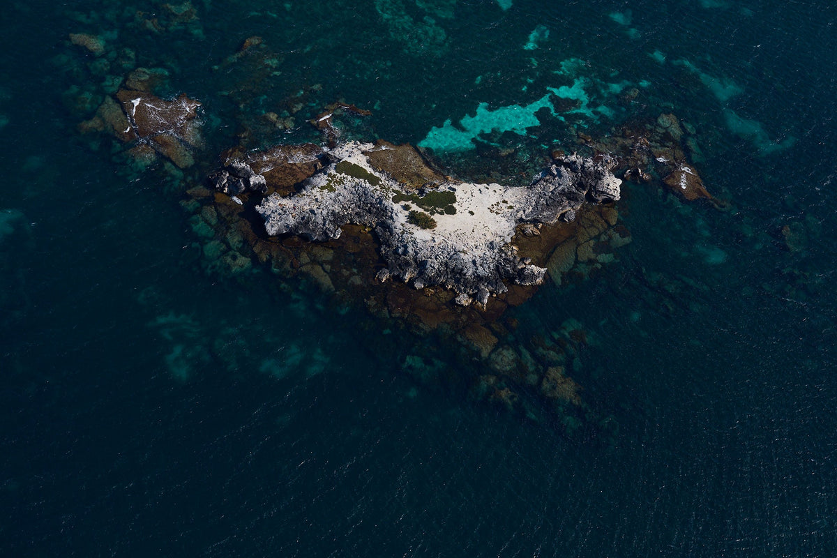 Gallop, Rottnest Island, WA, Horizontal Print - source print