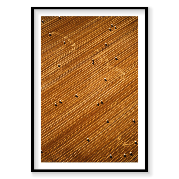 Golden Rows, Vertical Print