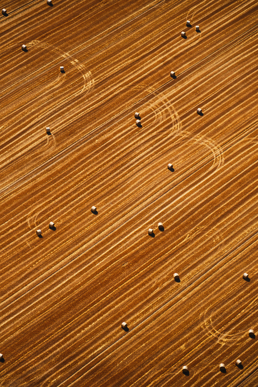Round bales scattered across diagonal rows in a golden harvested field in the Paris region, photographed from above; print only
