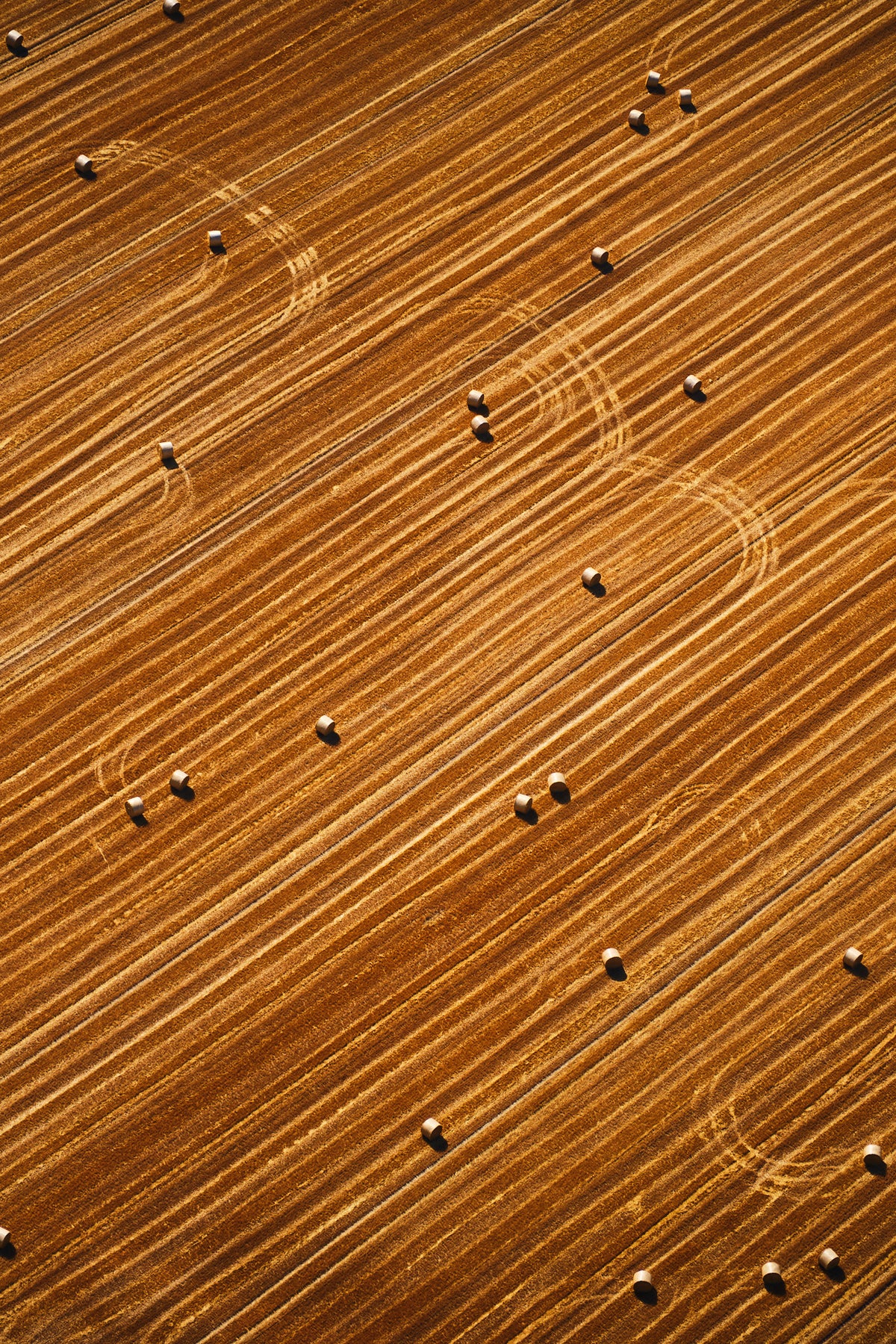 Round bales scattered across diagonal rows in a golden harvested field in the Paris region, photographed from above; print only
