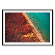 Green And Blue, Shark Bay, Horizontal Print