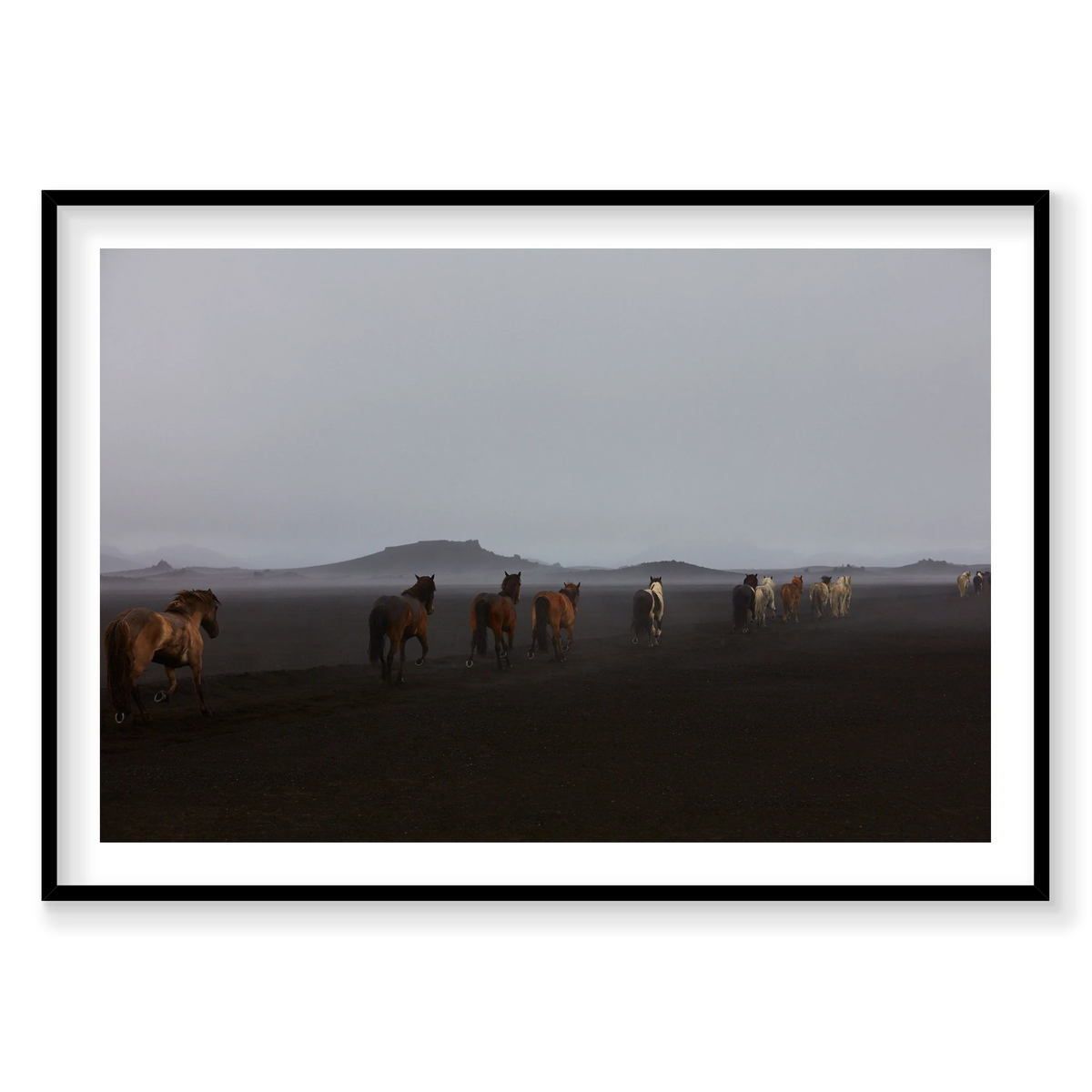 Herd, Iceland, Horizontal Print, black Victorian Ash frame