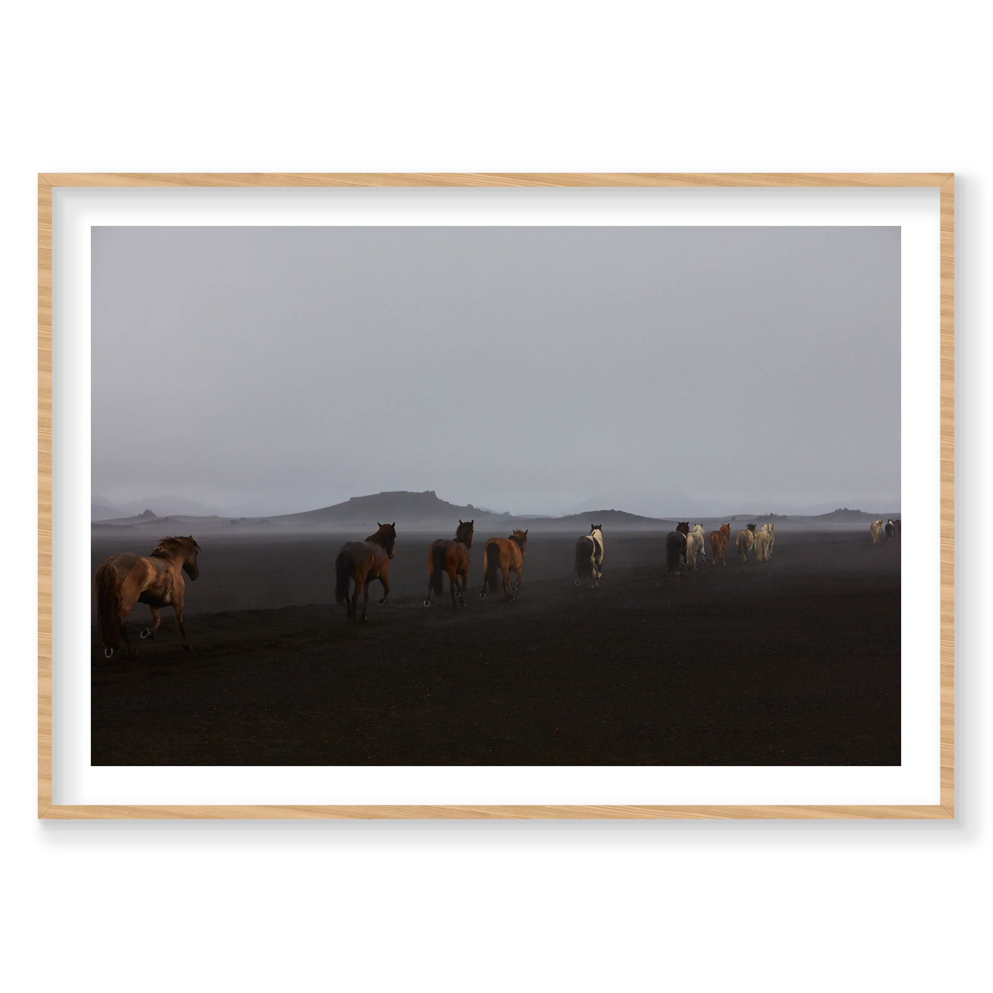 Herd, Iceland, Horizontal Print, natural Victorian Ash frame