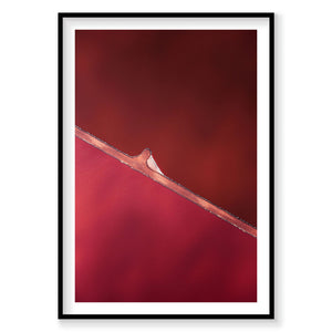 Aerial view of Hutt Lagoon's pink and red salt waters with wooden pier, photography print by Remy Gerega
