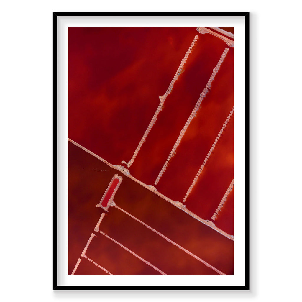 Aerial view of red salt compartments at Hutt Lagoon Western Australia from above, photography print by Remy Gerega