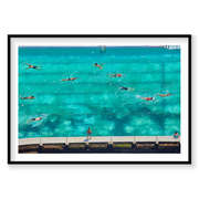 Icebergs Swimmers, Horizontal Print