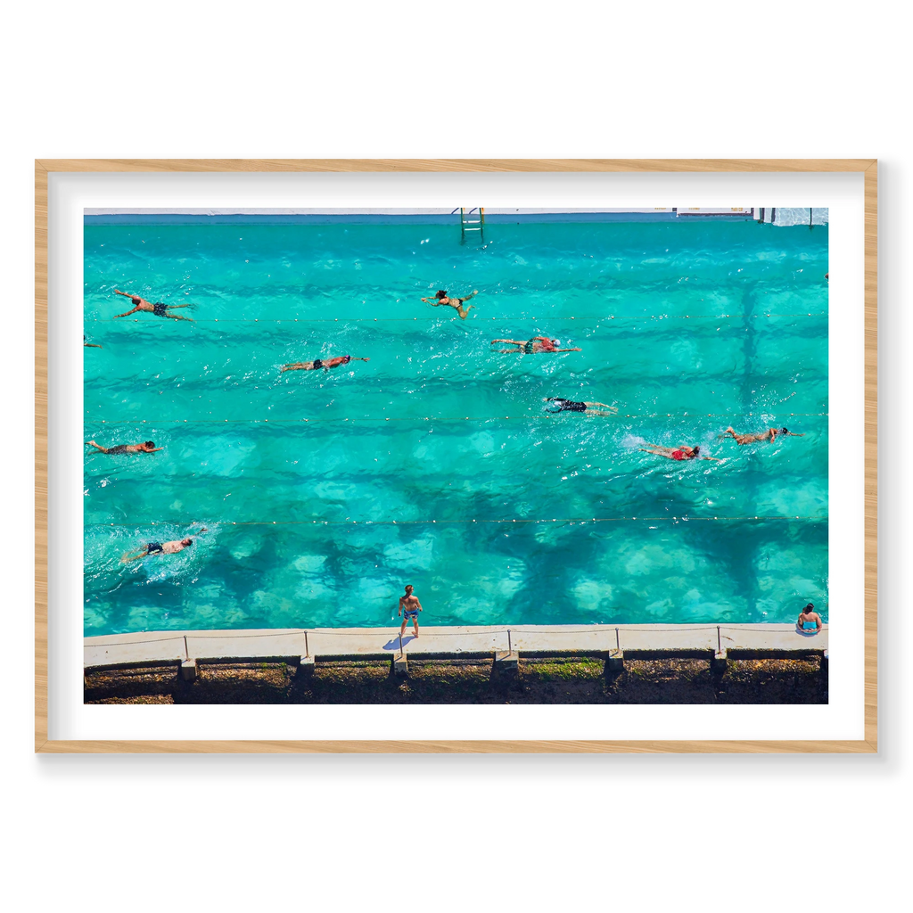 Icebergs Swimmers, Horizontal Print, natural Victorian Ash frame