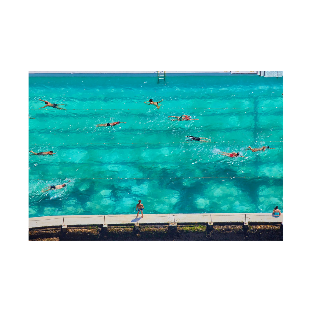 Icebergs Swimmers, Horizontal Print, print only