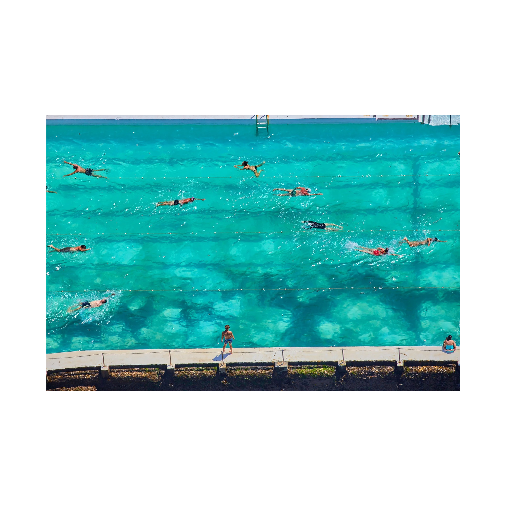 Icebergs Swimmers, Horizontal Print, print only