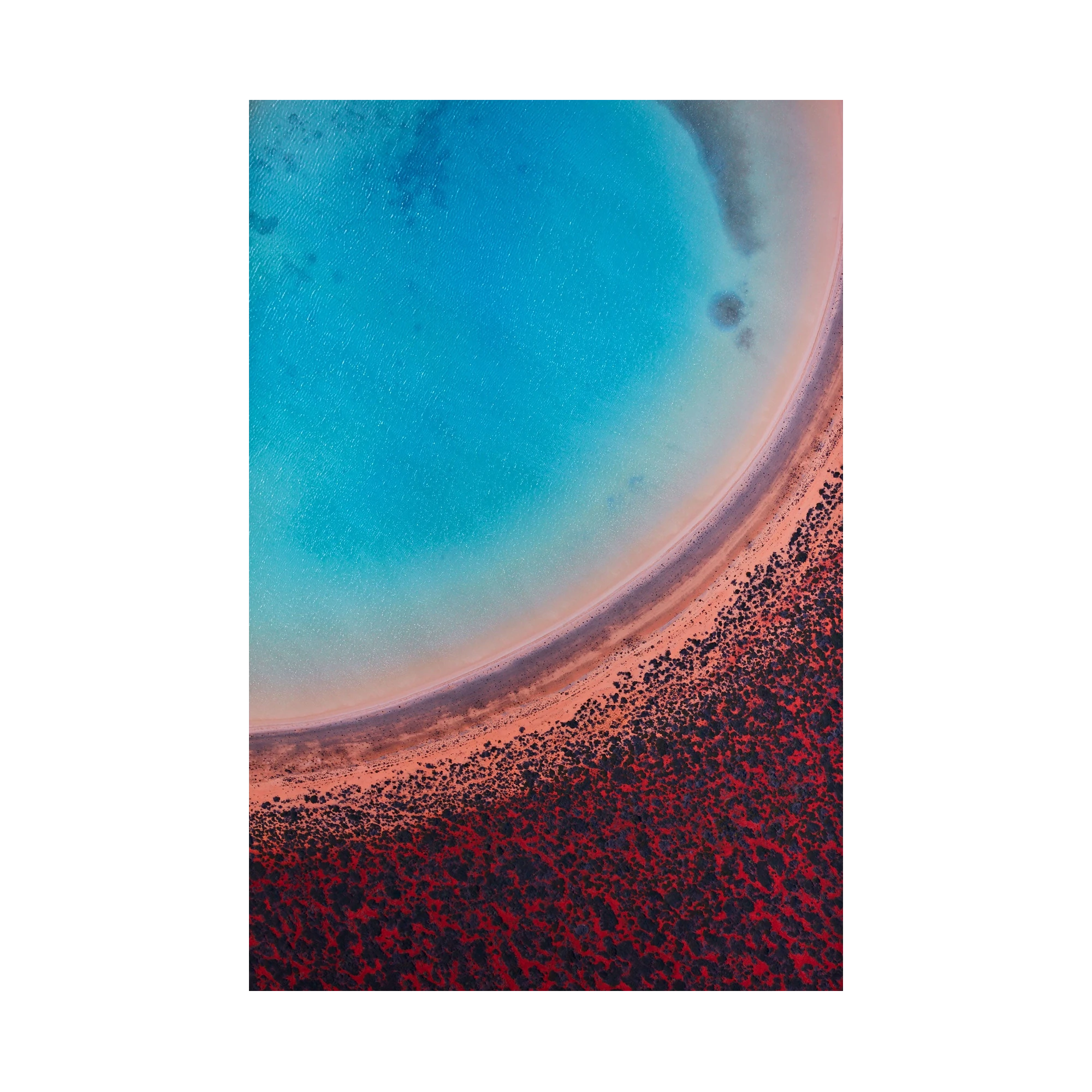 Lagoon, Shark Bay, Vertical Print, print only