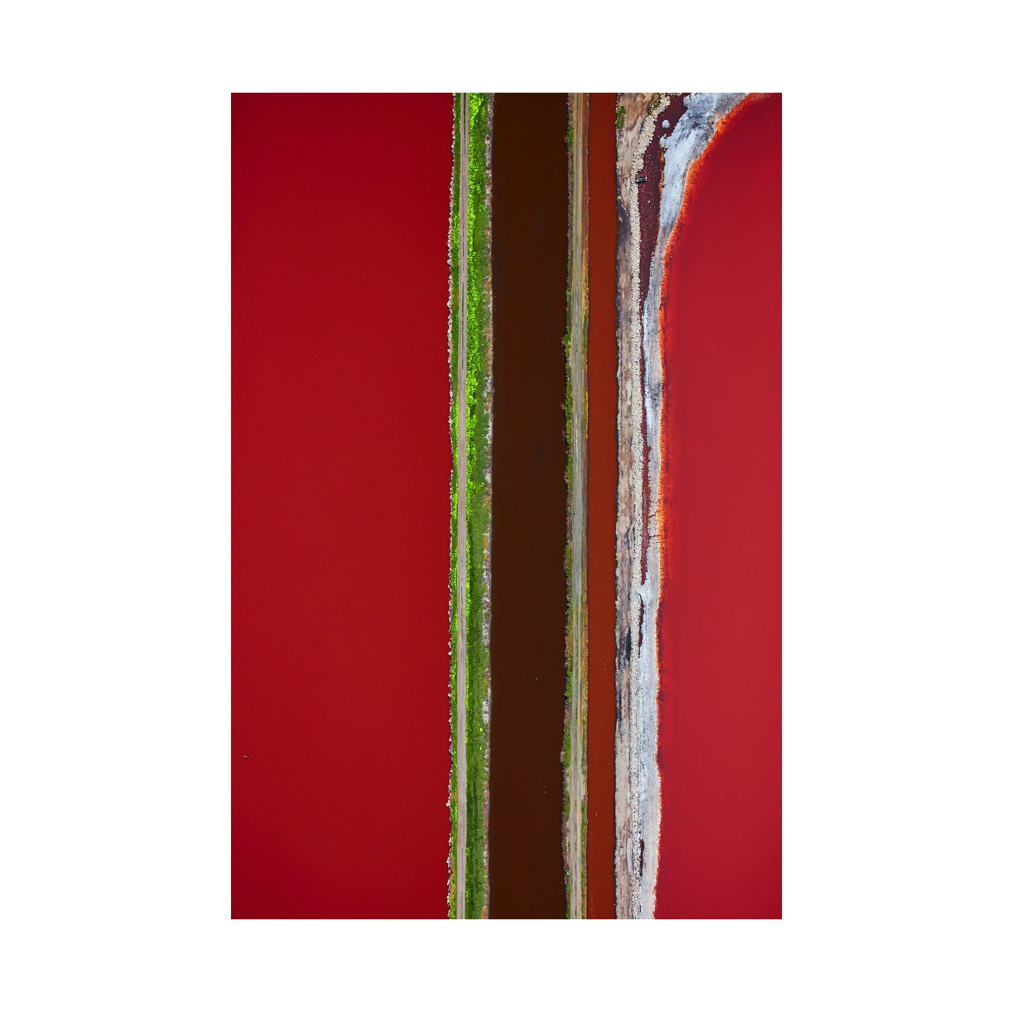 Laneways, San Francisco Bay, Vertical Print, print only