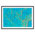 Lattice, Great Barrier Reef, Horizontal Print, black Victorian Ash frame