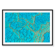 Lattice, Great Barrier Reef, Horizontal Print