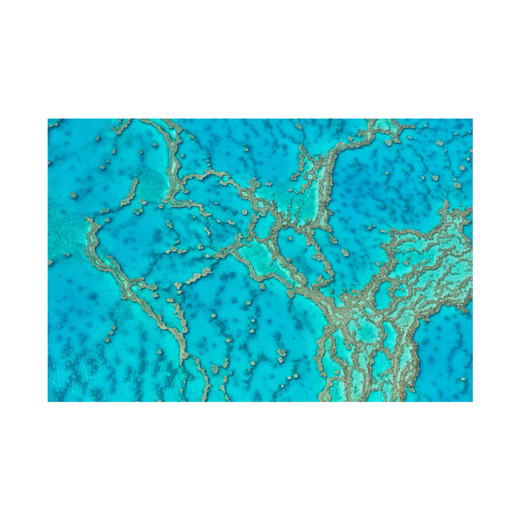 Lattice, Great Barrier Reef, Horizontal Print, print only