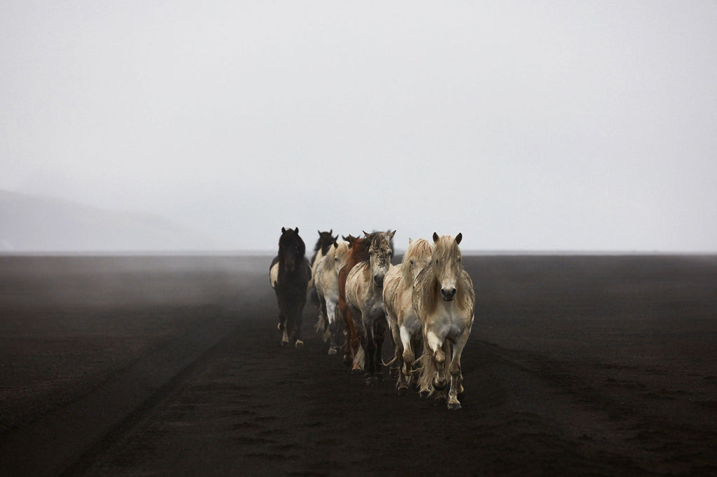 Highlands, Iceland, Horizontal Print - source print