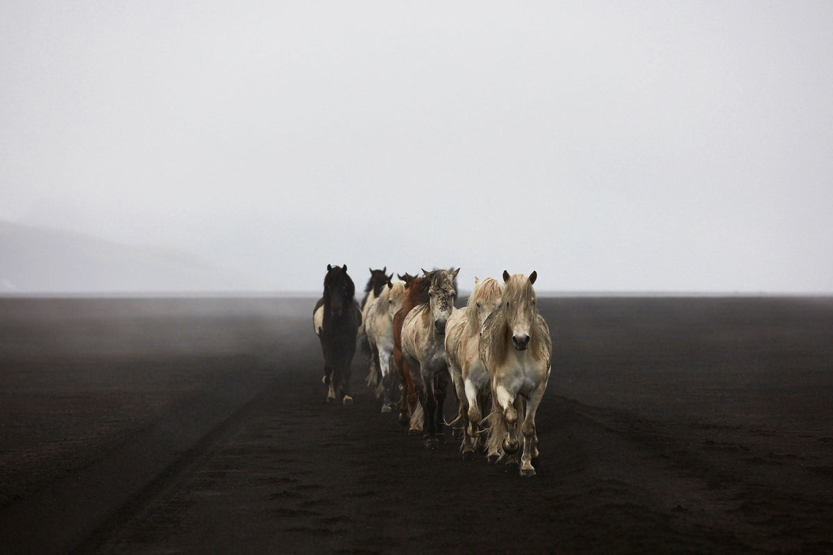 Highlands, Iceland, Horizontal Print