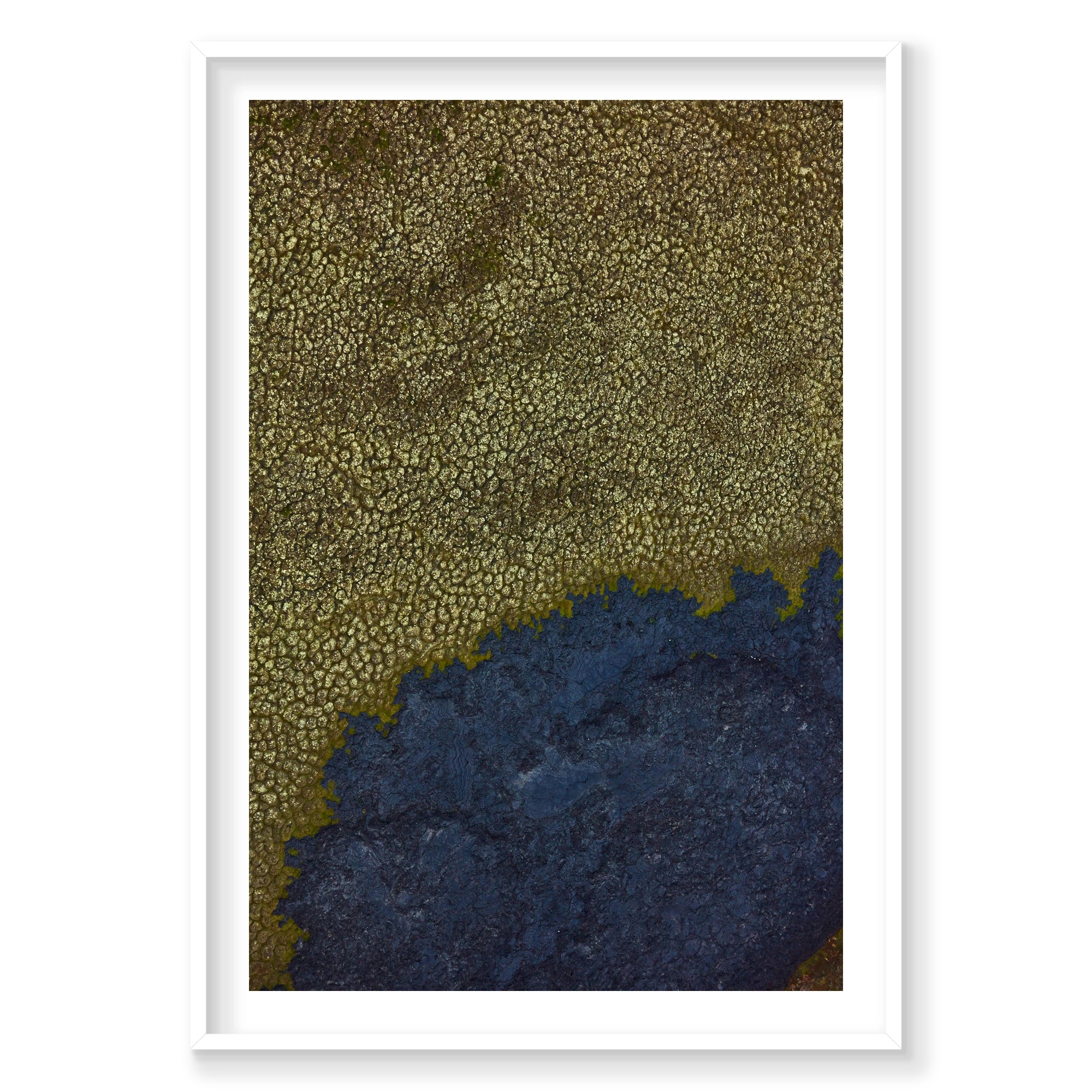 Moss Green, Iceland, Vertical Print, white Victorian Ash frame
