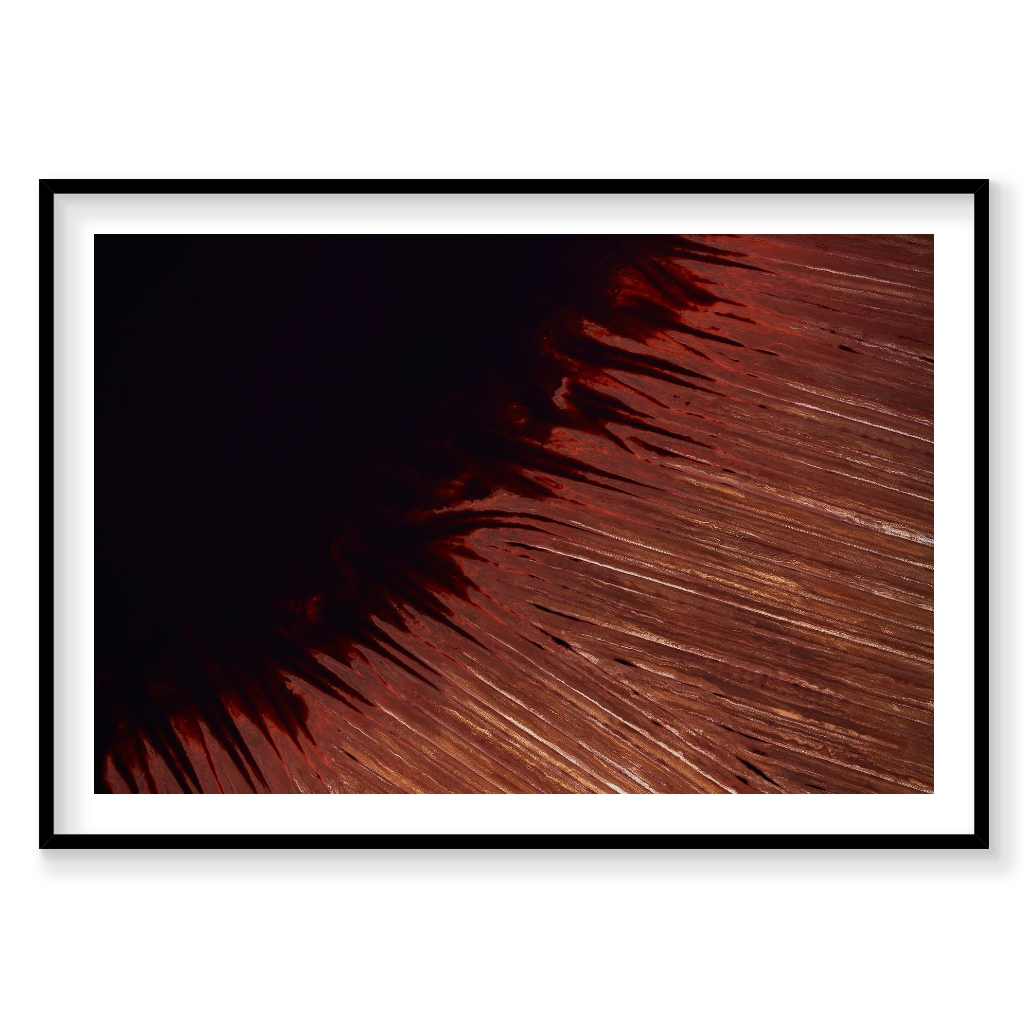 Leeching, Western Australia, Horizontal Print, black Victorian Ash frame