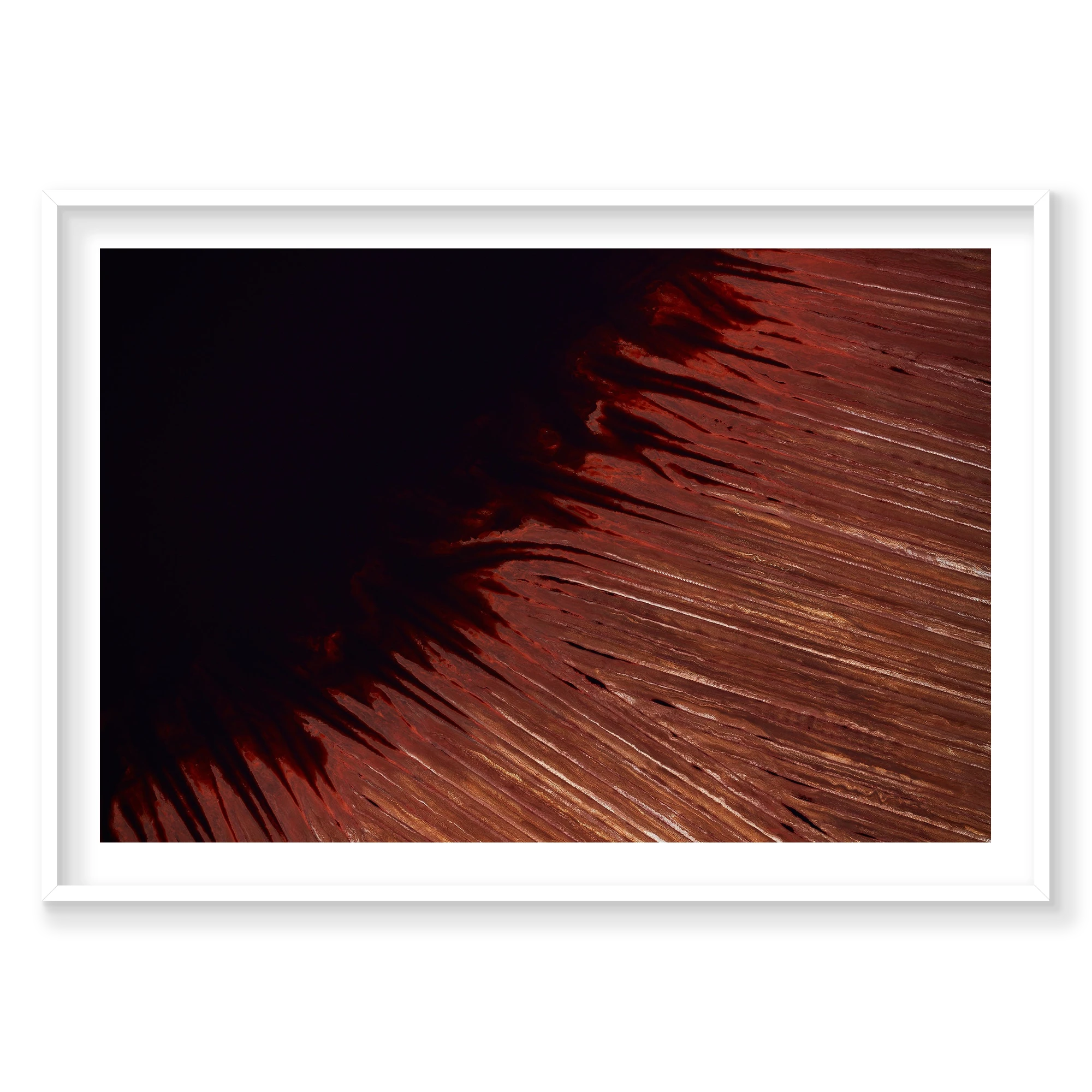 Leeching, Western Australia, Horizontal Print, white Victorian Ash frame