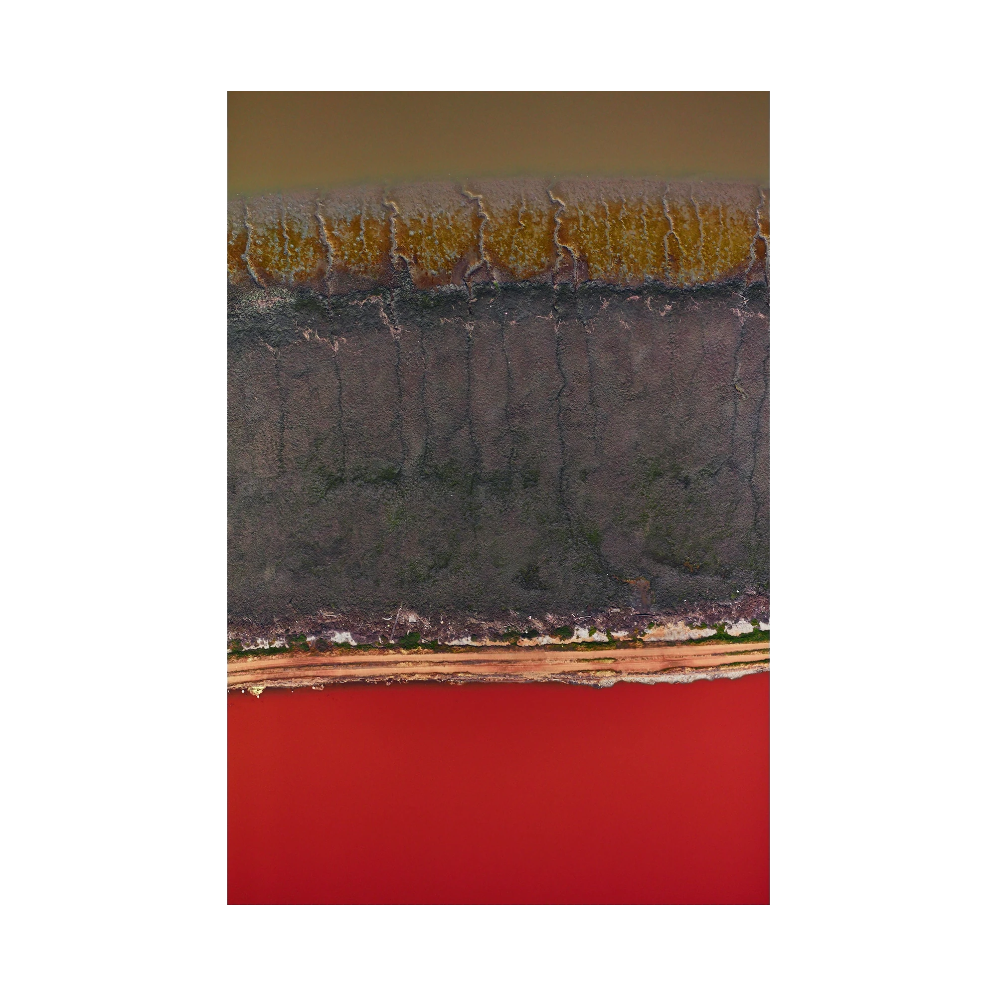 Lightning, San Francisco Bay, Vertical Print, print only