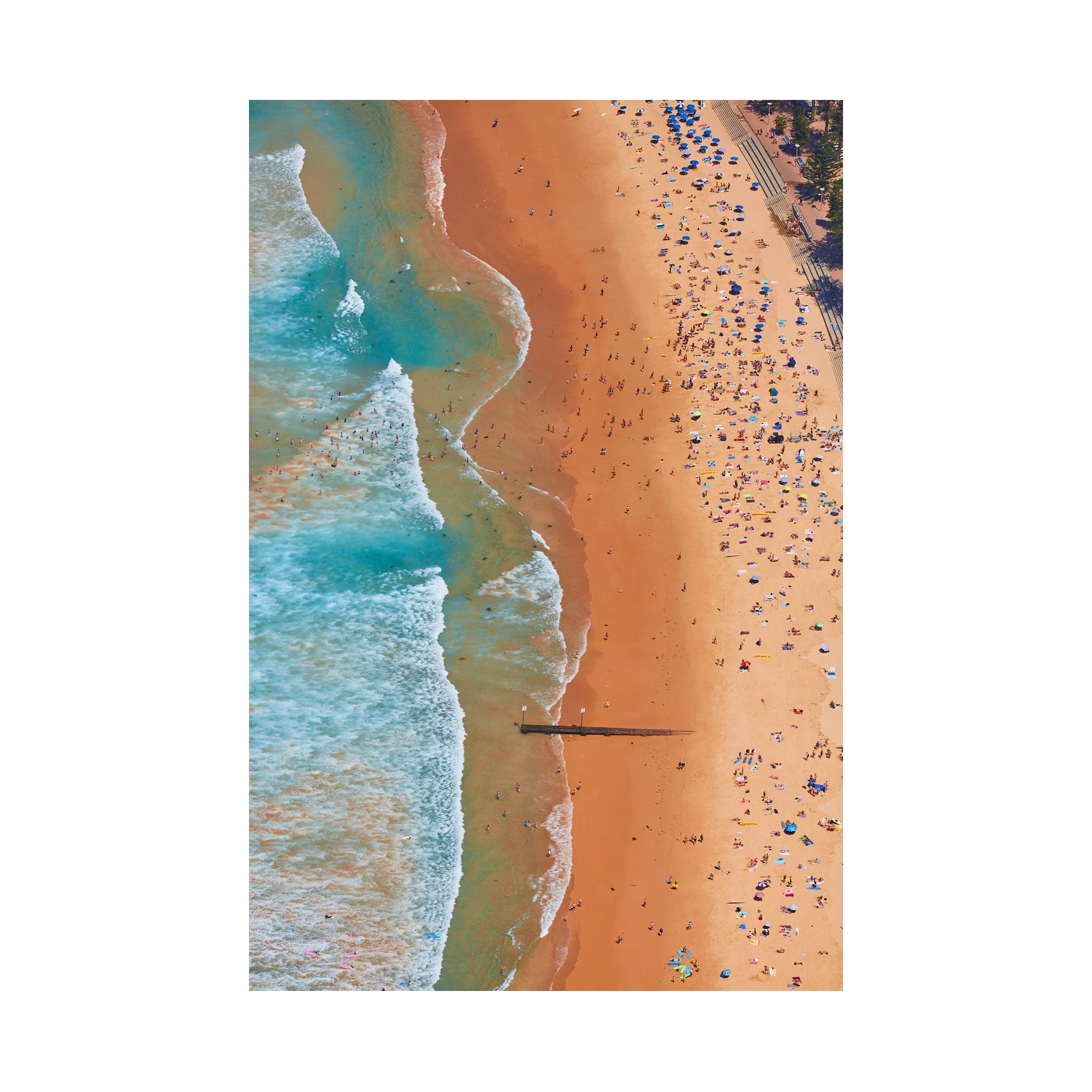 Manly Beach, Vertical Print, print only