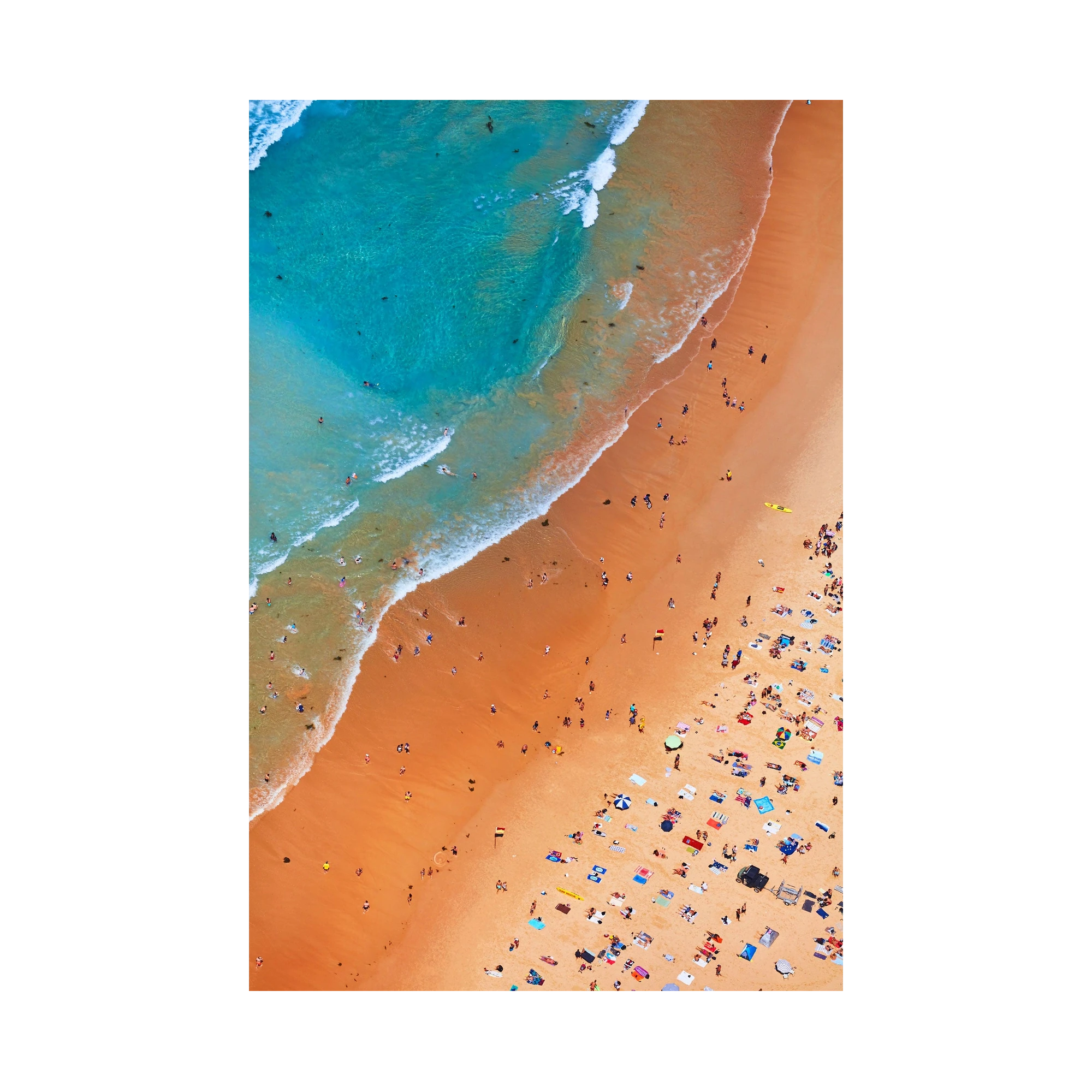 Manly Coastline, Vertical Print, print only
