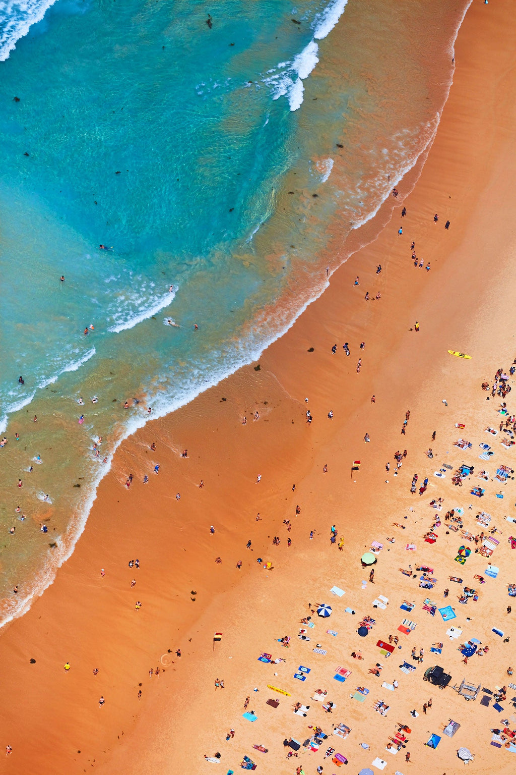 Manly Coastline, Vertical Print - source print
