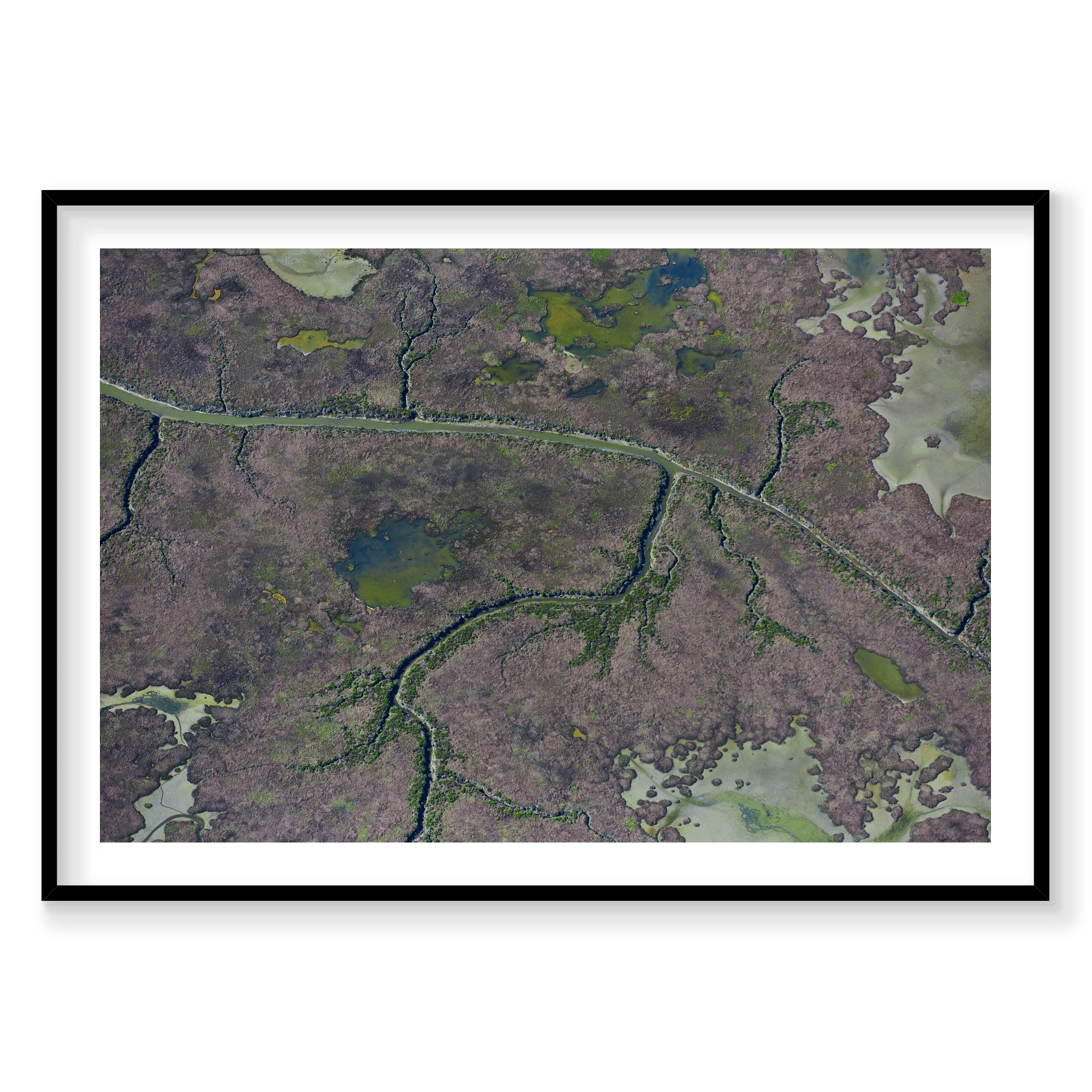 Marshland, San Francisco Bay, Horizontal Print, black Victorian Ash frame
