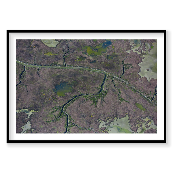 Marshland, San Francisco Bay, Horizontal Print