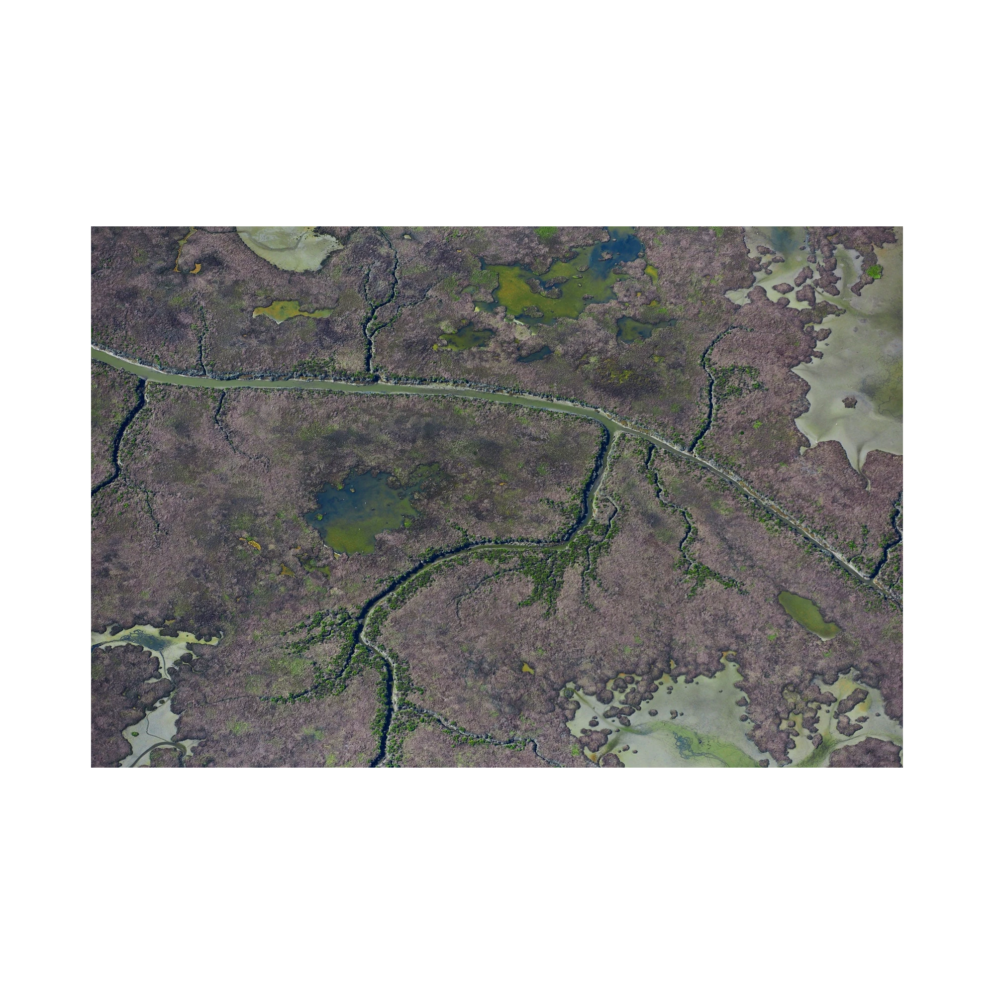 Marshland, San Francisco Bay, Horizontal Print, print only