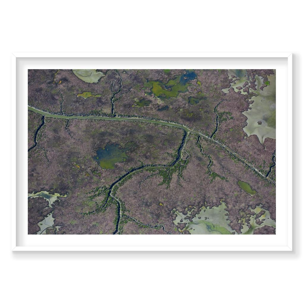 Marshland, San Francisco Bay, Horizontal Print, white Victorian Ash frame