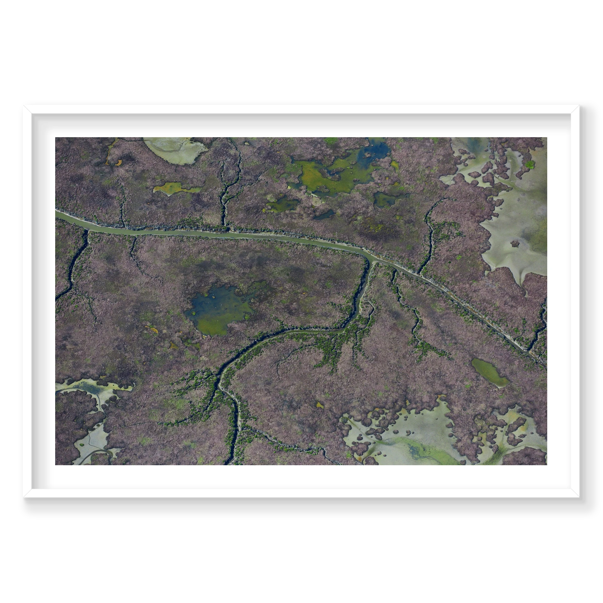 Marshland, San Francisco Bay, Horizontal Print, white Victorian Ash frame