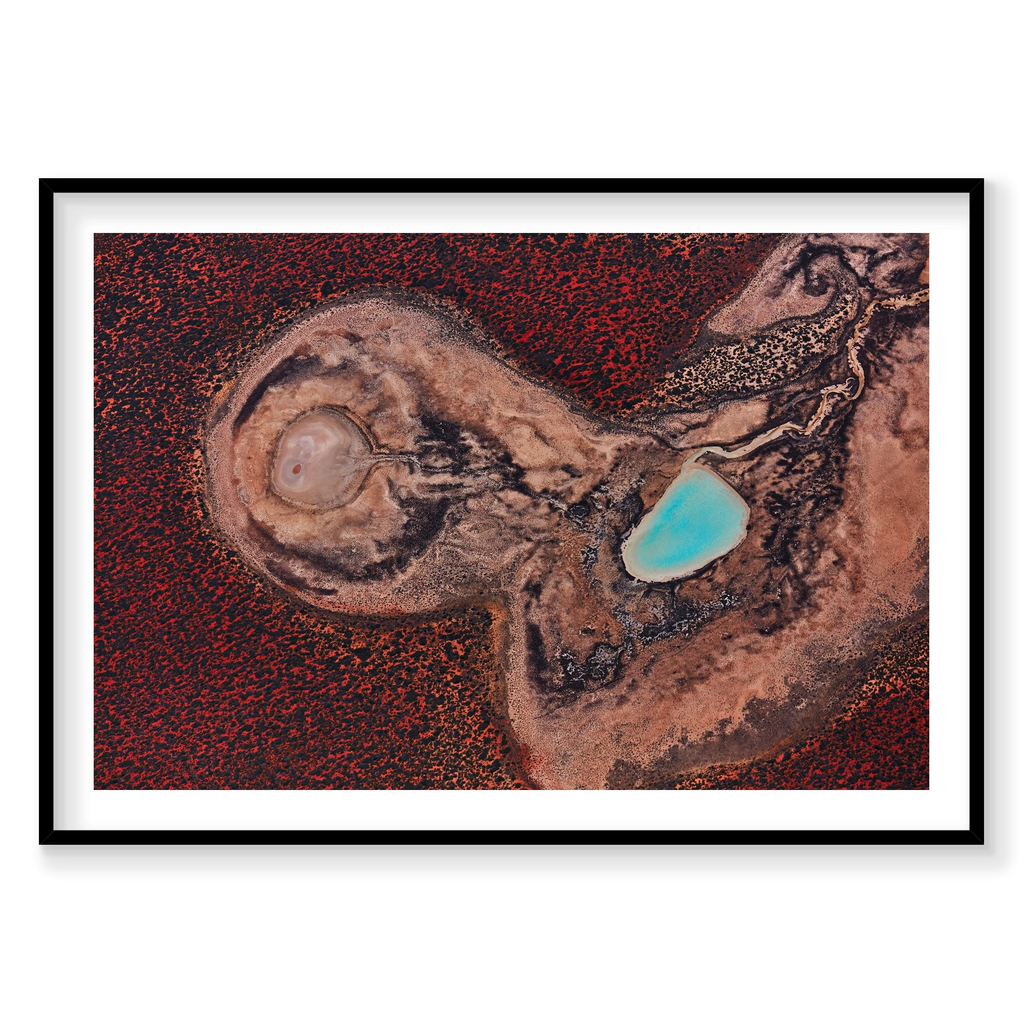 Internal, Shark Bay, Horizontal Print, black Victorian Ash frame