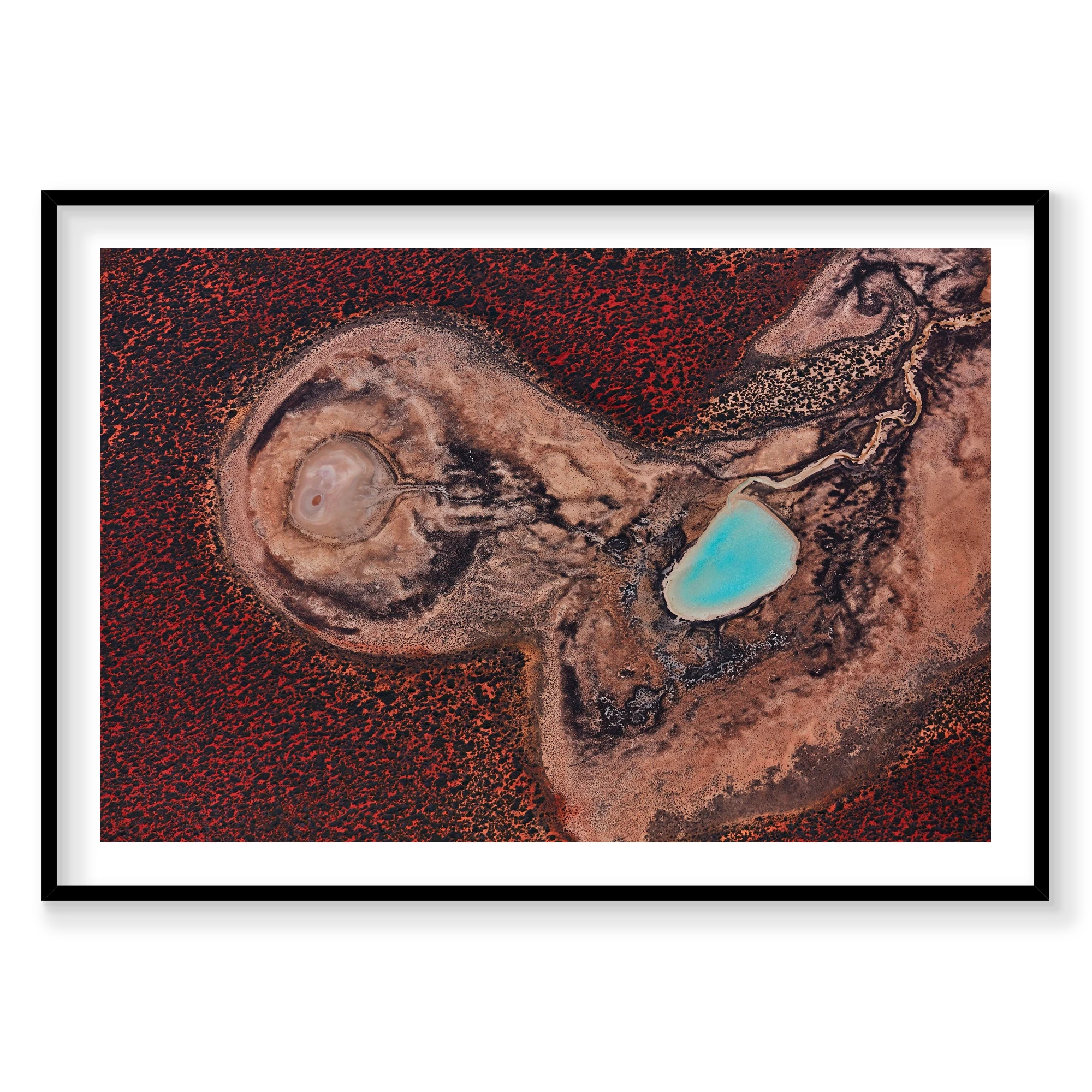 Internal, Shark Bay, Horizontal Print, black Victorian Ash frame